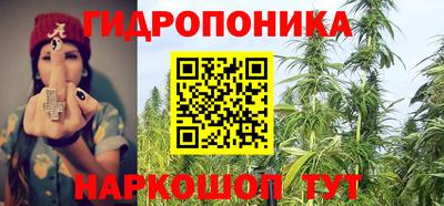 PSILOCYBIN Краснодар