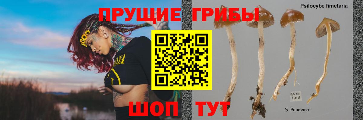 Псилоцибиновые грибы прущие грибы  Вход с VPN  Галлюциногенные грибы MAGIC MUSHROOMS  Котлас 